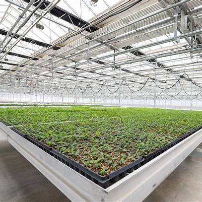 GigawattRanch controlled environment agriculture facility utilizing recovered heat